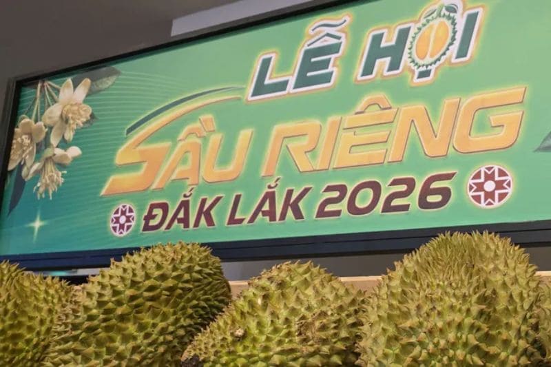 Lễ hội Sầu riêng Đắk Lắk 2026: Đi đâu, trải nghiệm gì?